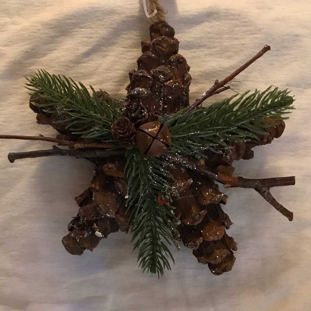 Pinecone Star Christmas Ornament